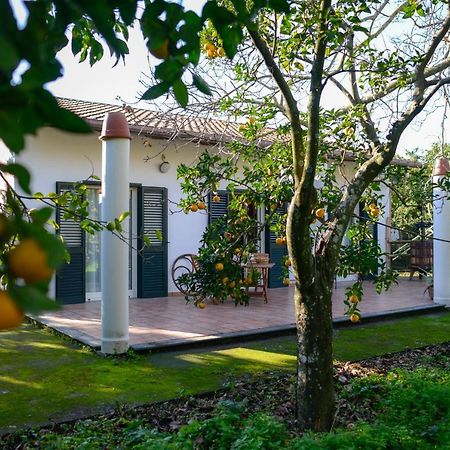Agriturismo Piccolo Canyon Apartman Piano di Sorrento Kültér fotó