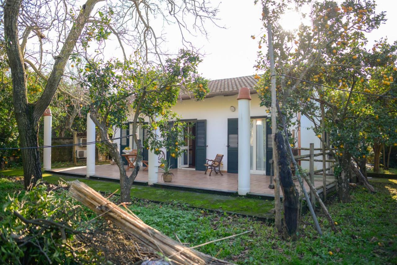 Agriturismo Piccolo Canyon Apartman Piano di Sorrento Kültér fotó