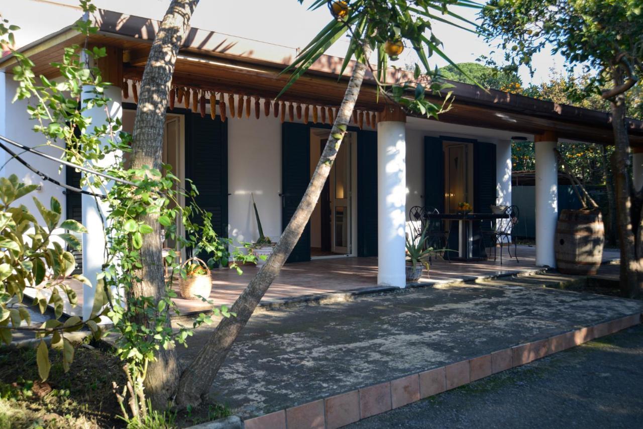 Agriturismo Piccolo Canyon Apartman Piano di Sorrento Kültér fotó